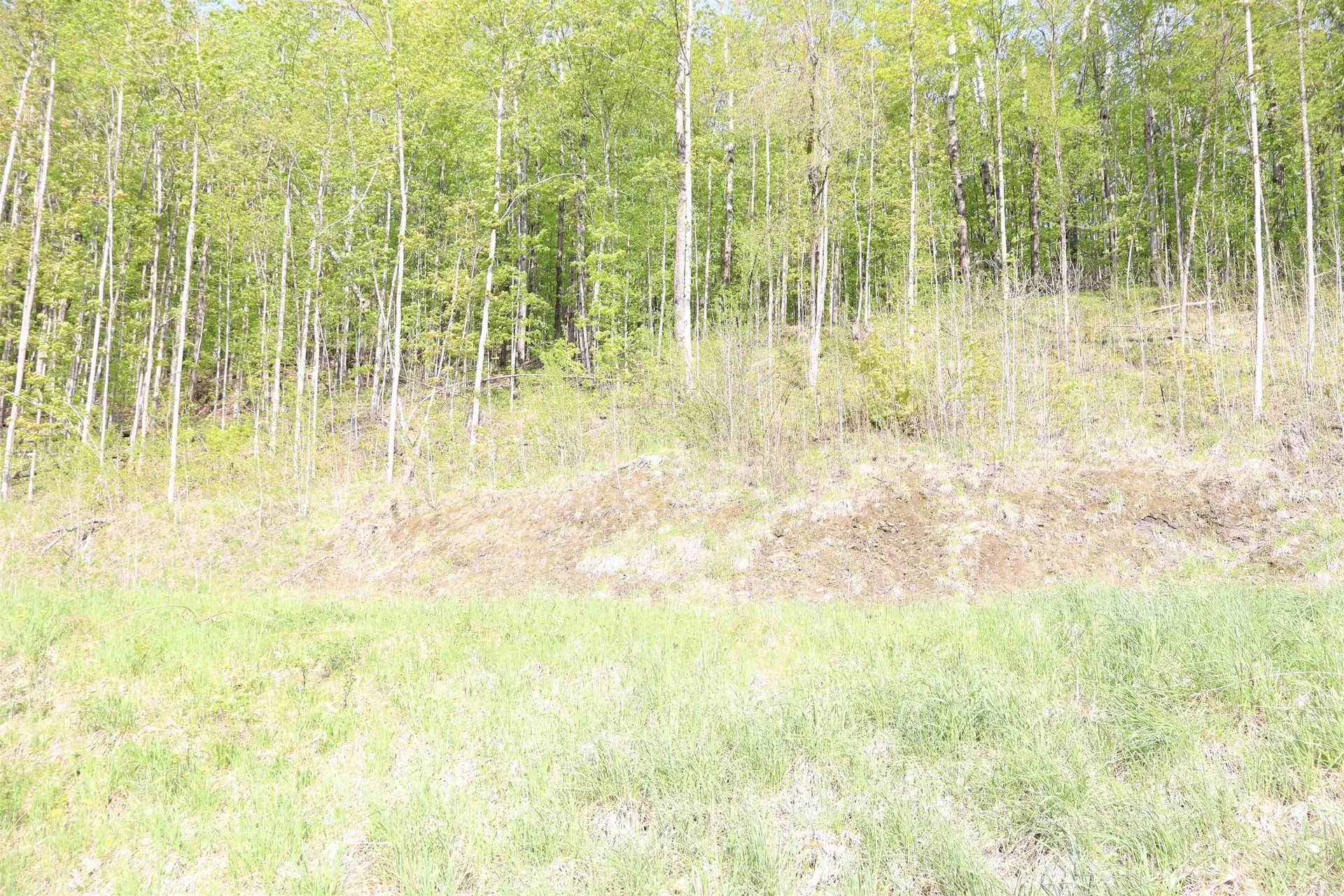 9 Maplewood Avenue Barre City VT 05641
