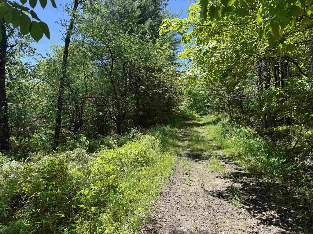 800 Hubbard Hill Halifax VT 05358