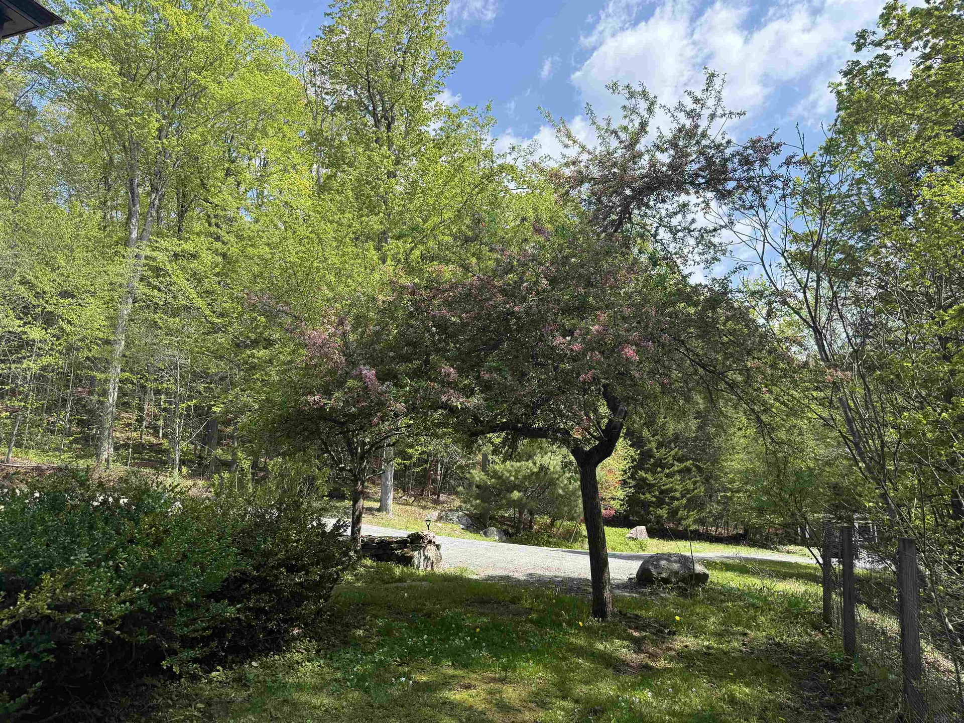 800 Hubbard Hill Halifax VT 05358