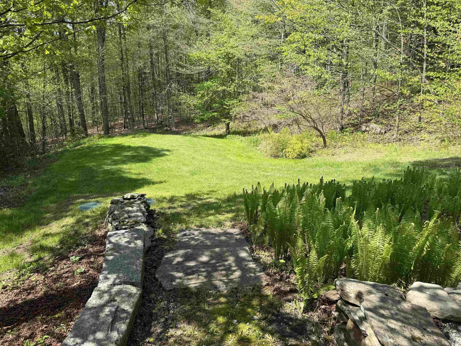 800 Hubbard Hill Halifax VT 05358