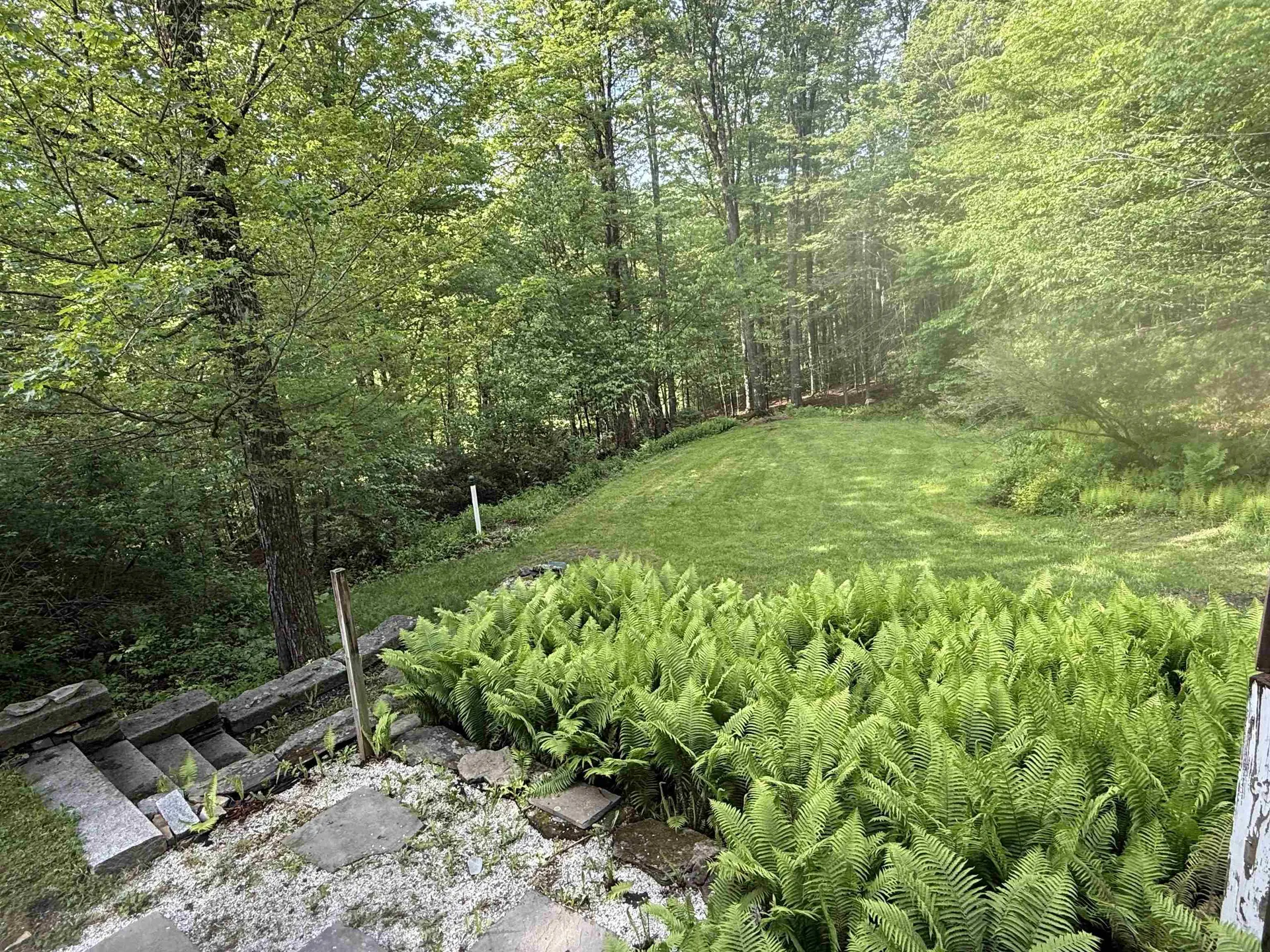 800 Hubbard Hill Halifax VT 05358