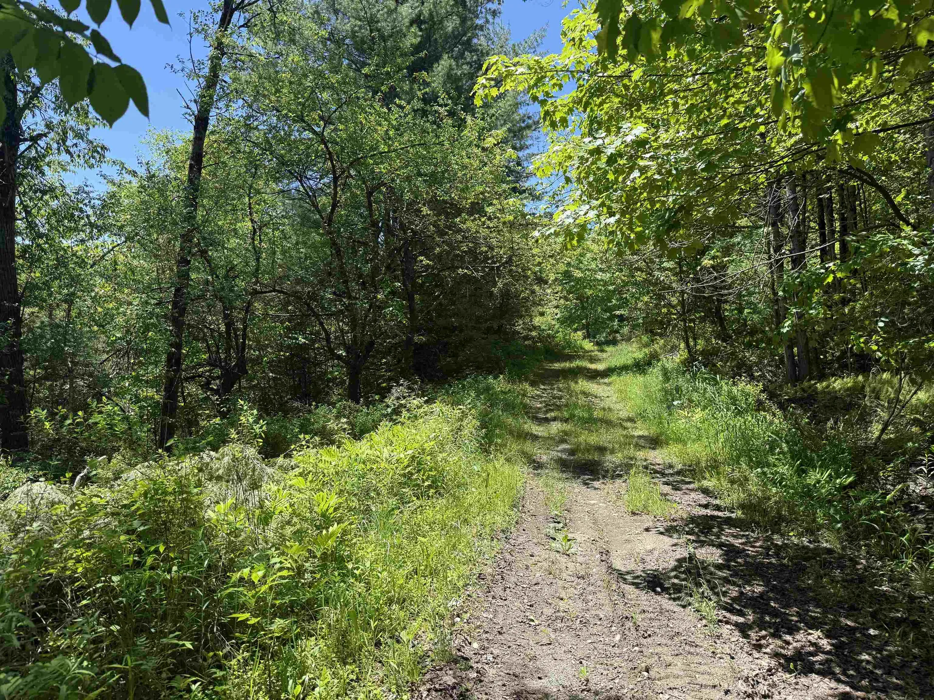 800 Hubbard Hill Halifax VT 05358