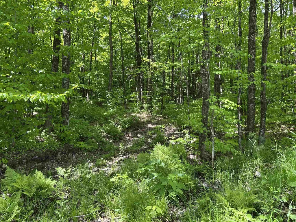 Lot 2 Pion Road St. Albans Town VT 05455