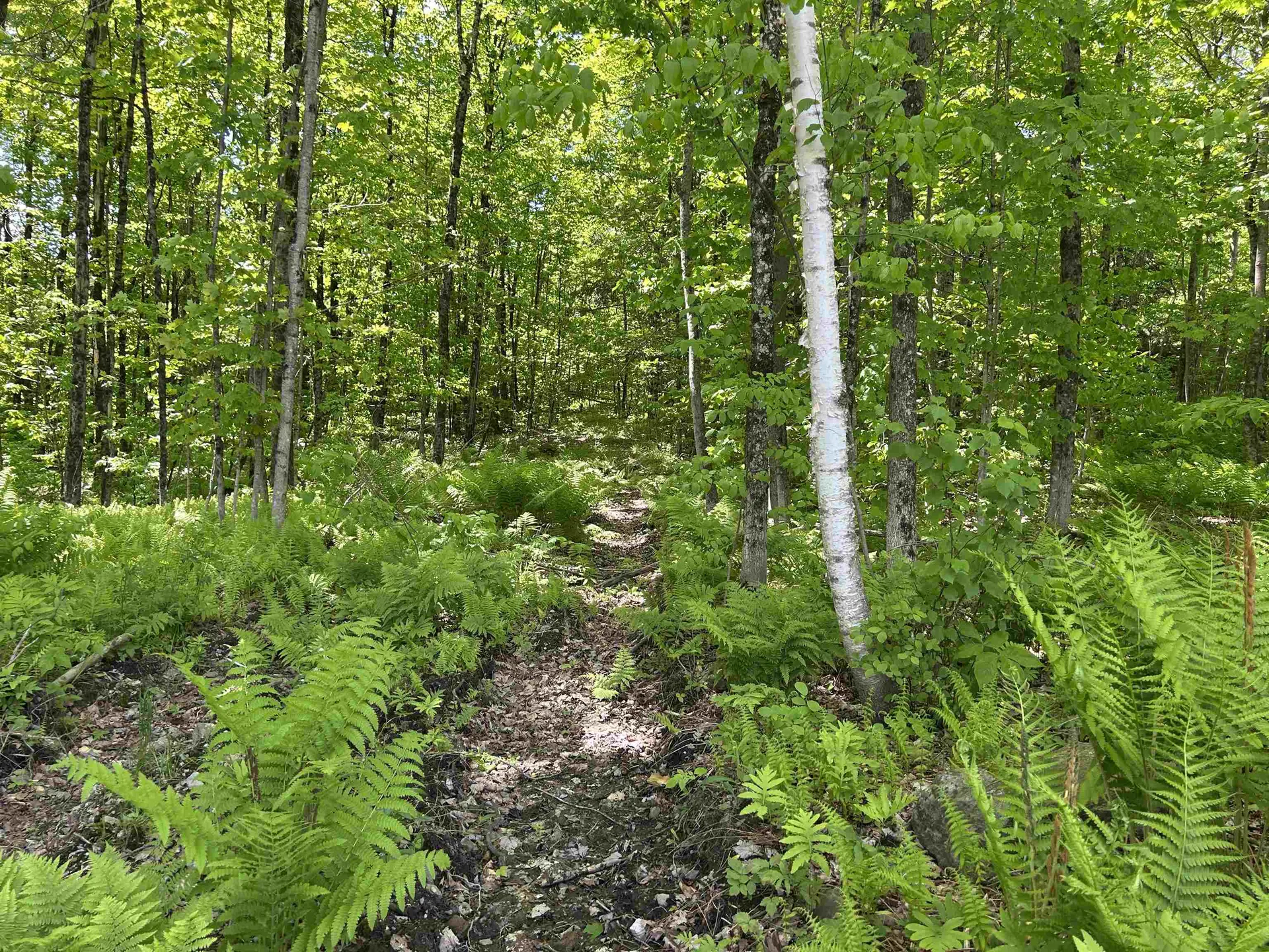 Lot 2 Pion Road St. Albans Town VT 05455