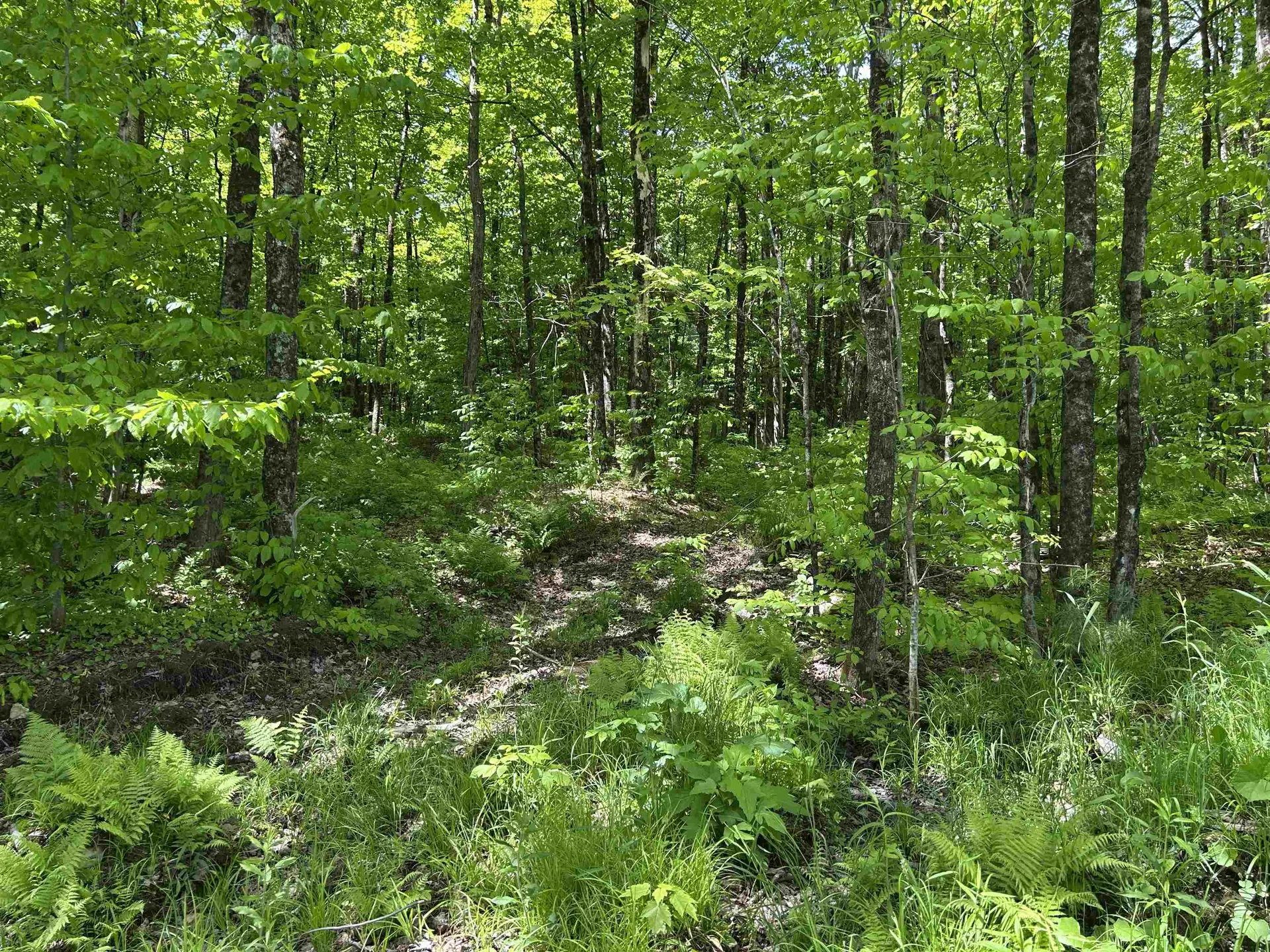 Lot 2 Pion Road St. Albans Town VT 05455
