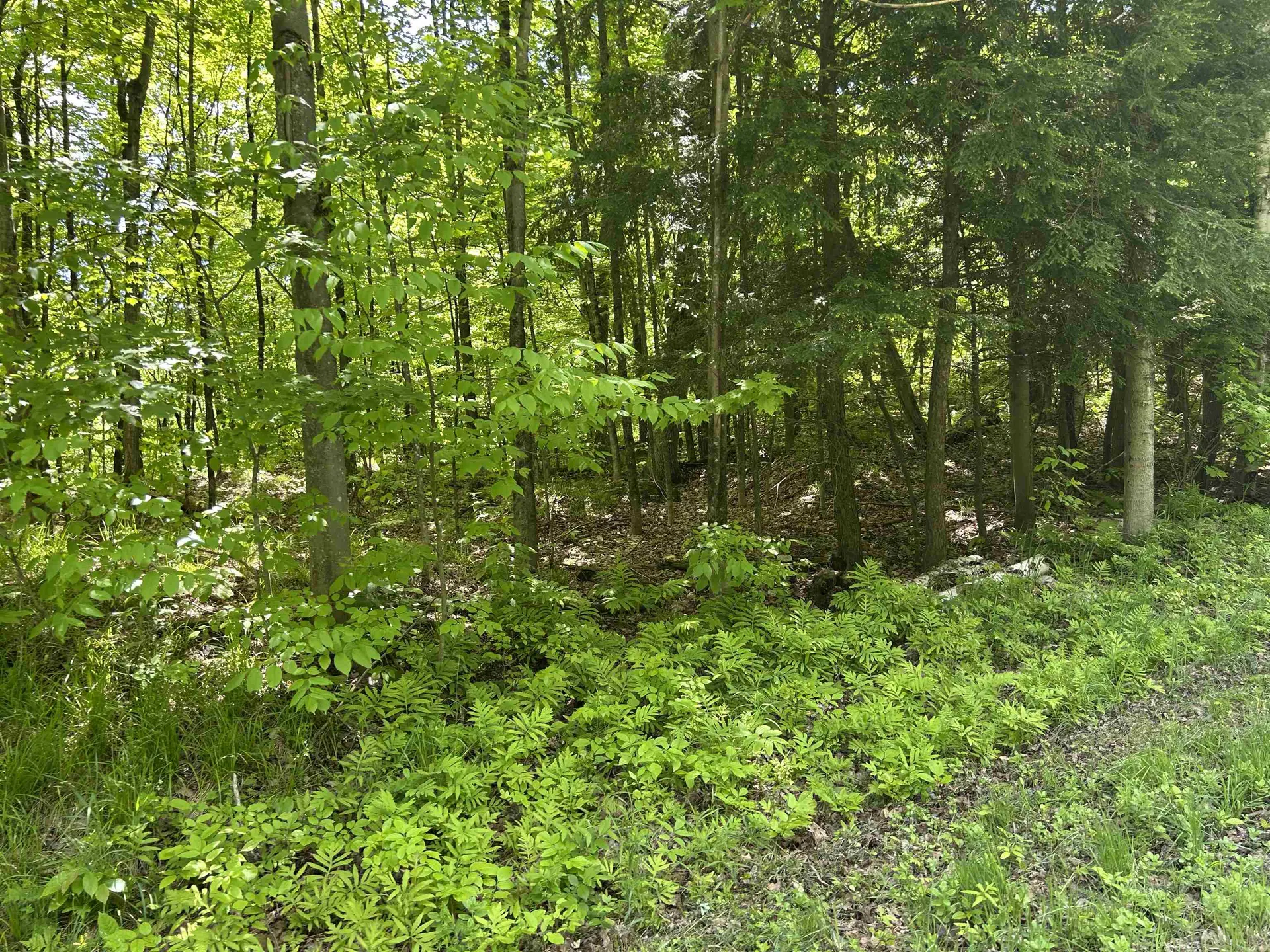 Lot 2 Pion Road St. Albans Town VT 05455