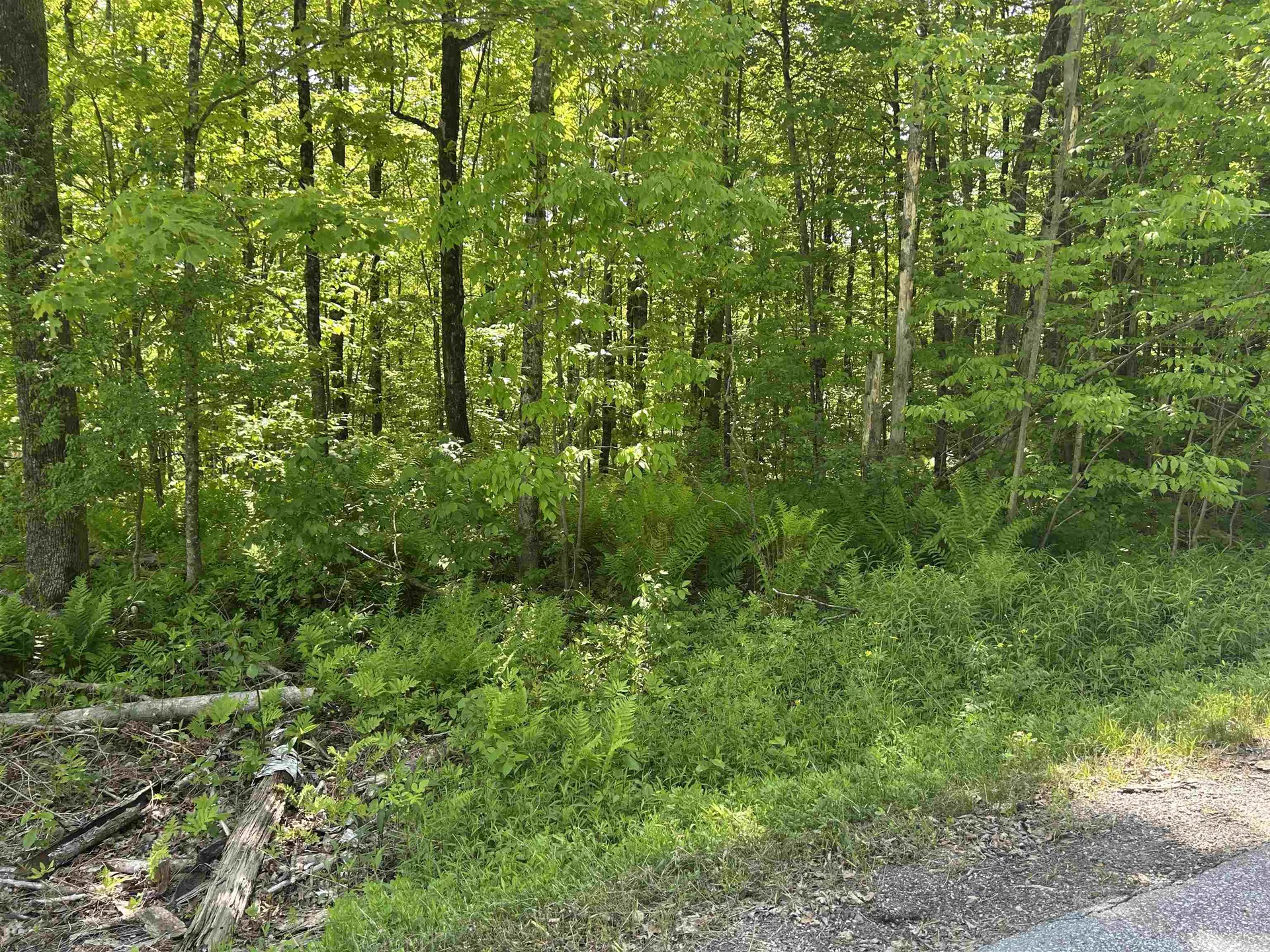 Lot 2 Pion Road St. Albans Town VT 05455