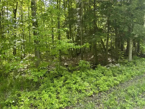 Lot 2 Pion Road St. Albans Town VT 05455