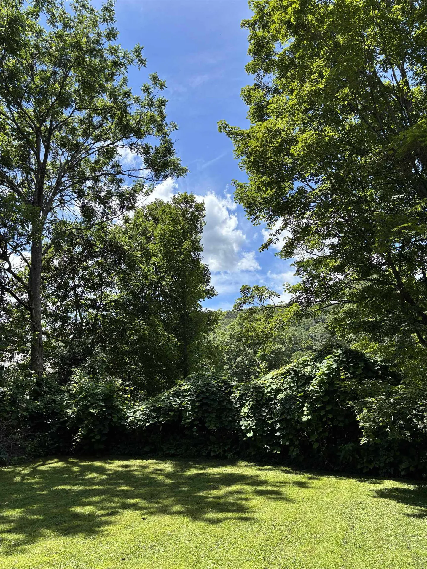 36 Green Street Rockingham VT 05101
