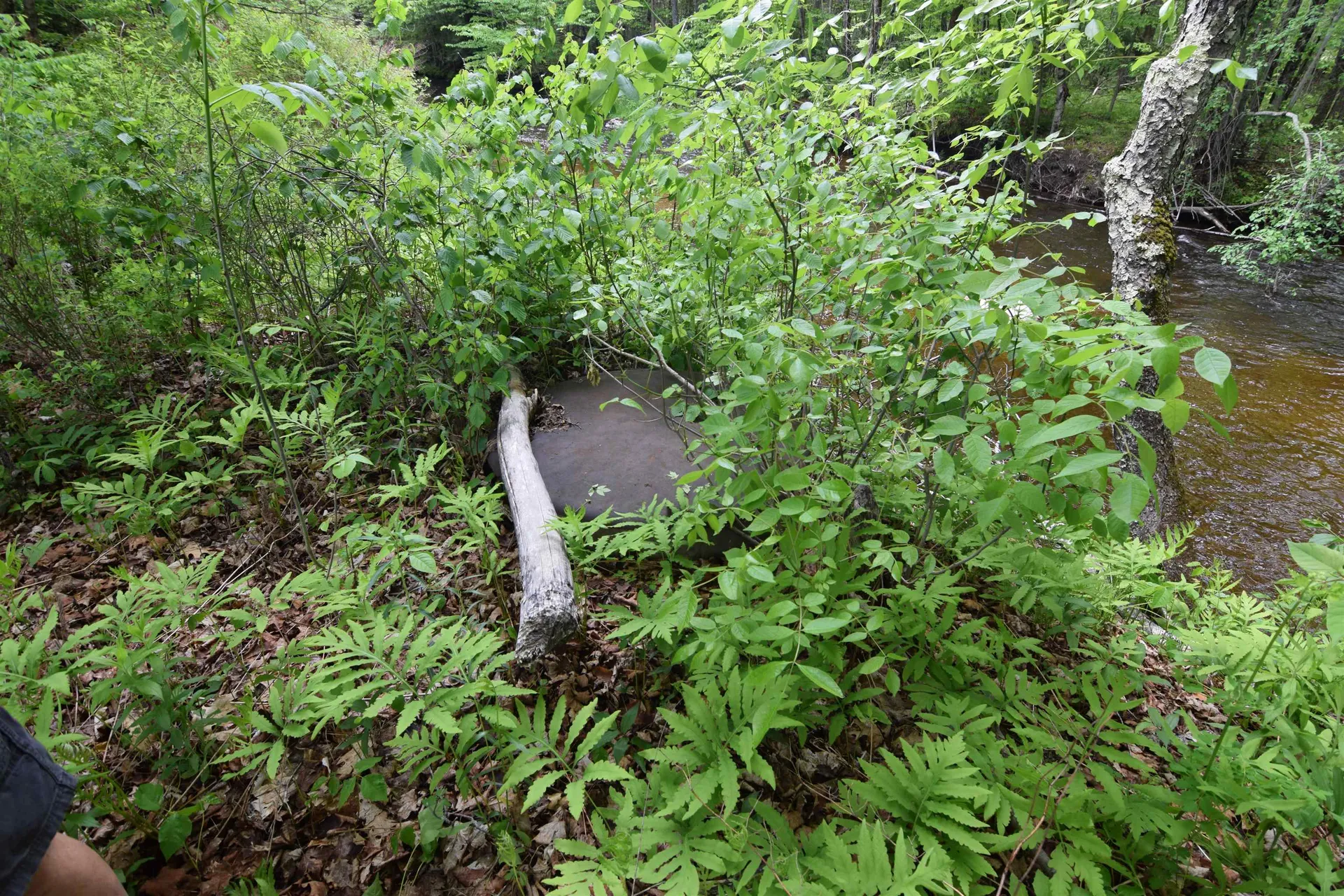 301 Mill Village Road Goshen NH 03752