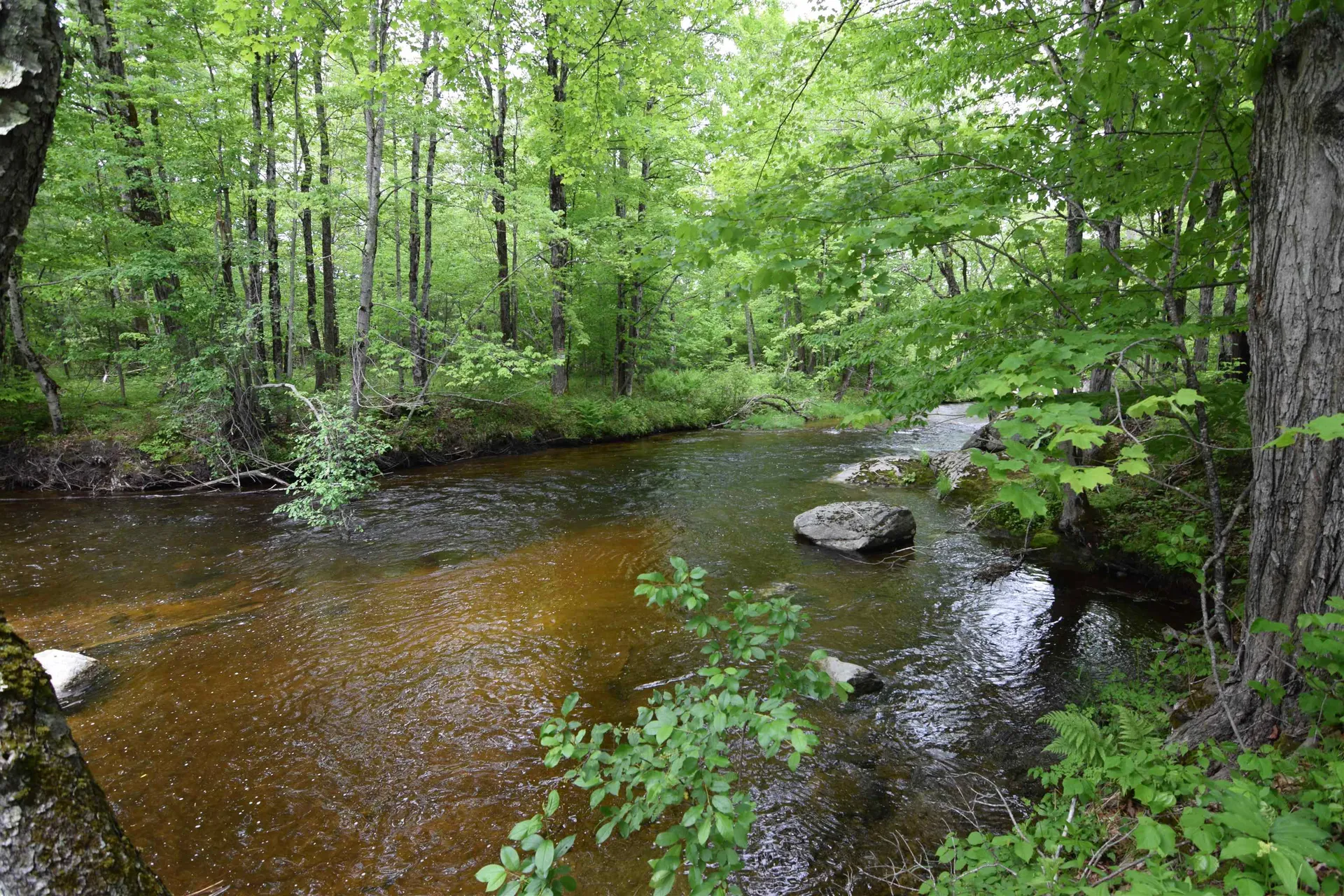 301 Mill Village Road Goshen NH 03752