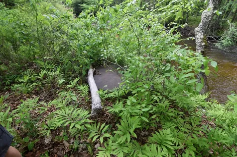 301 Mill Village Road Goshen NH 03752