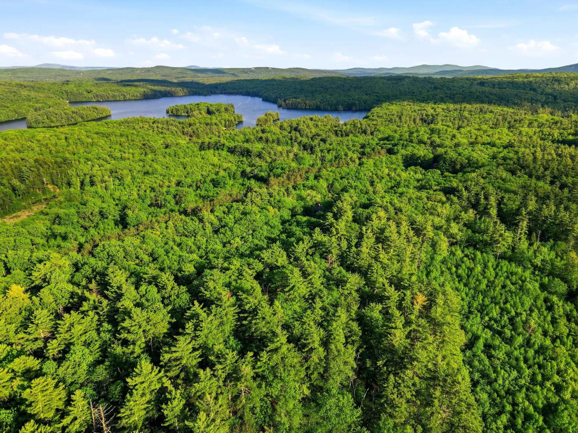 91 Wolf Hill Road Deering NH 03242
