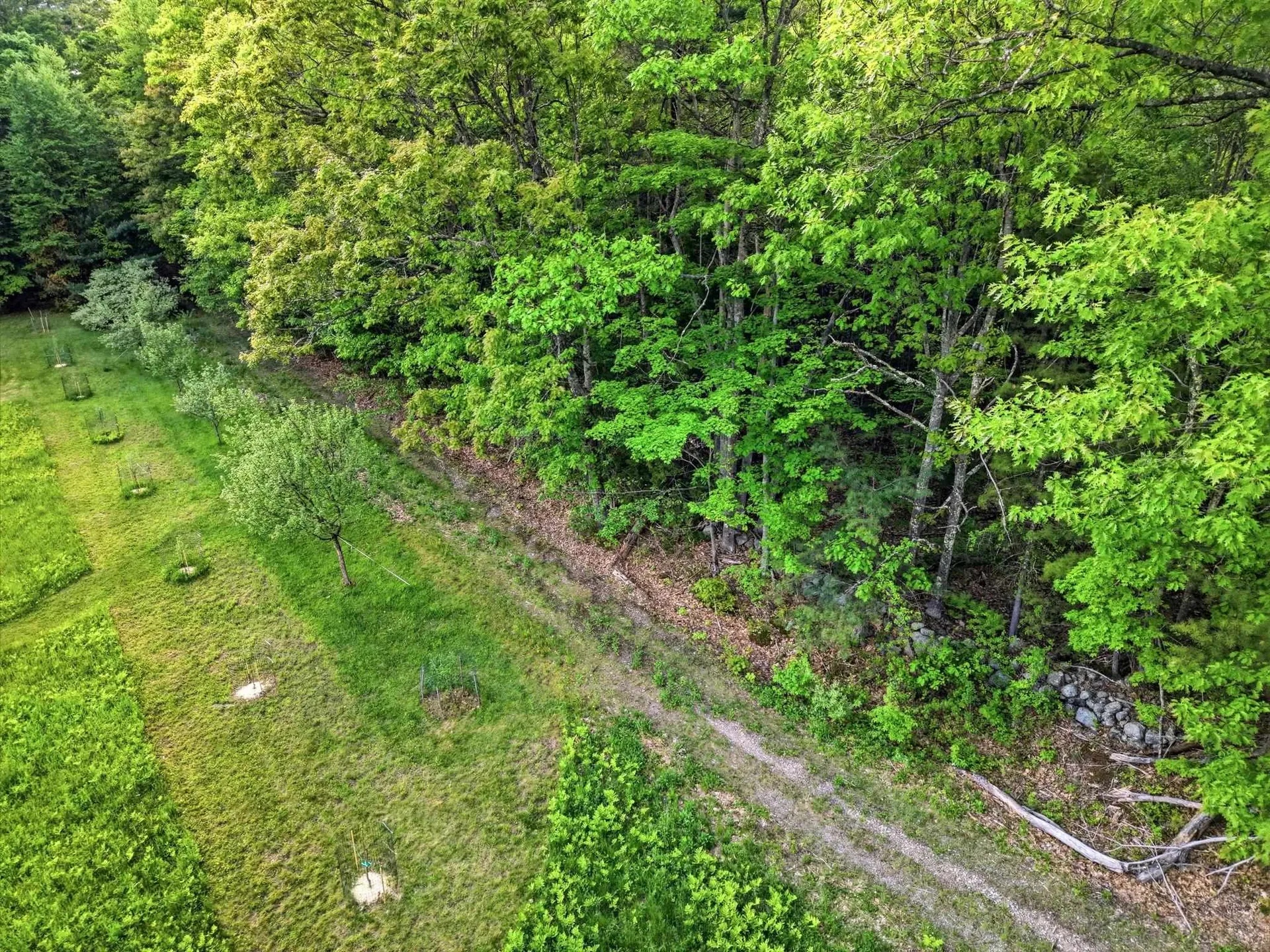 91 Wolf Hill Road Deering NH 03242