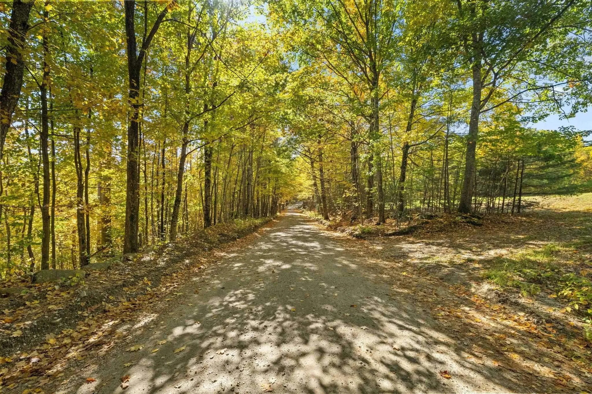 91 Wolf Hill Road Deering NH 03242