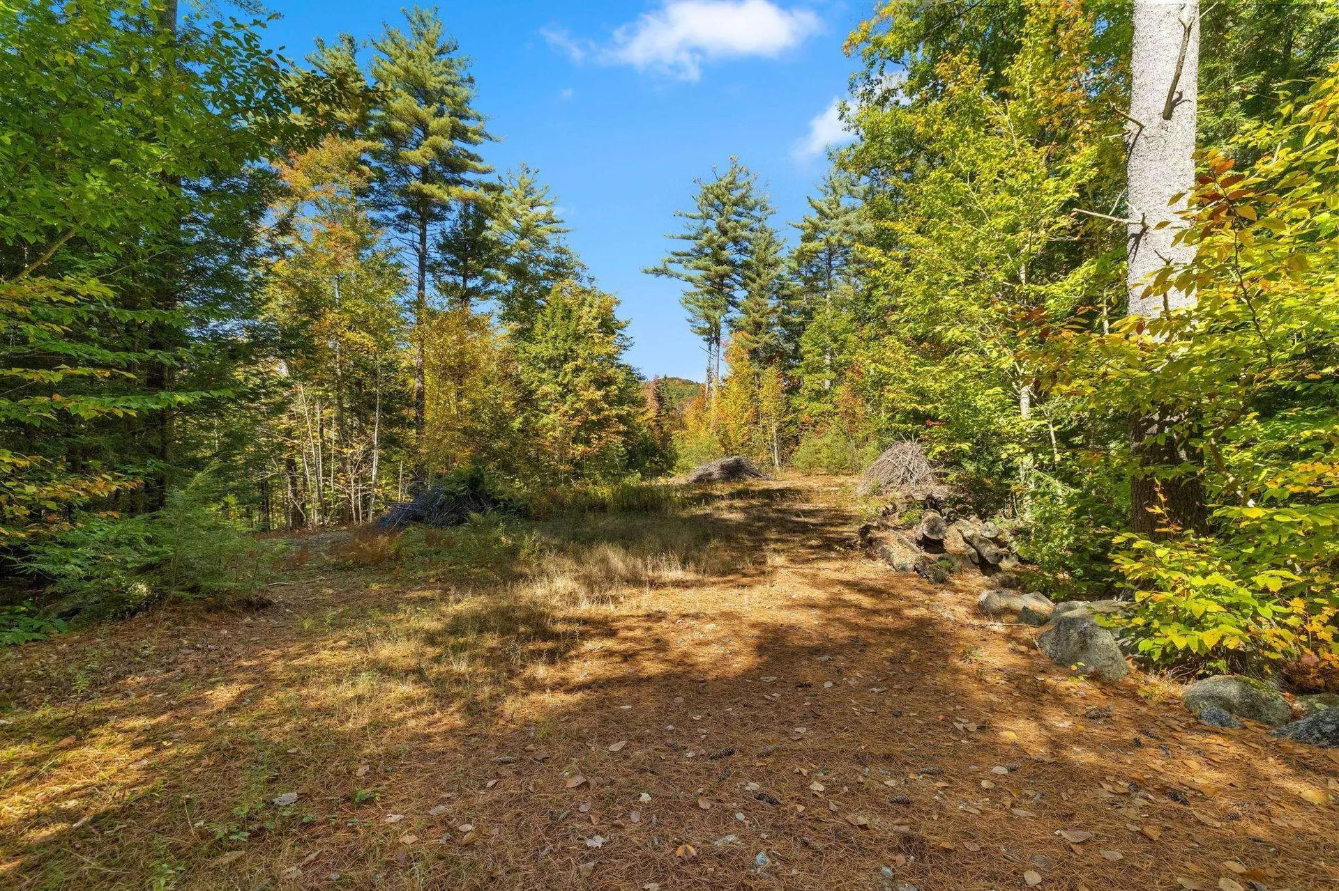 91 Wolf Hill Road Deering NH 03242