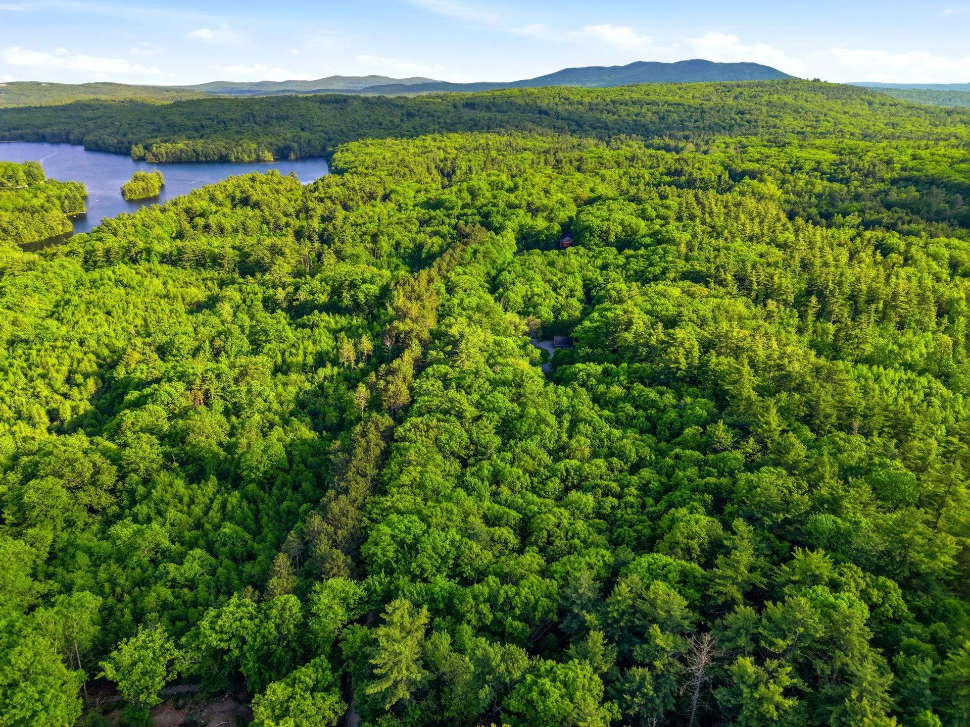 91 Wolf Hill Road Deering NH 03242