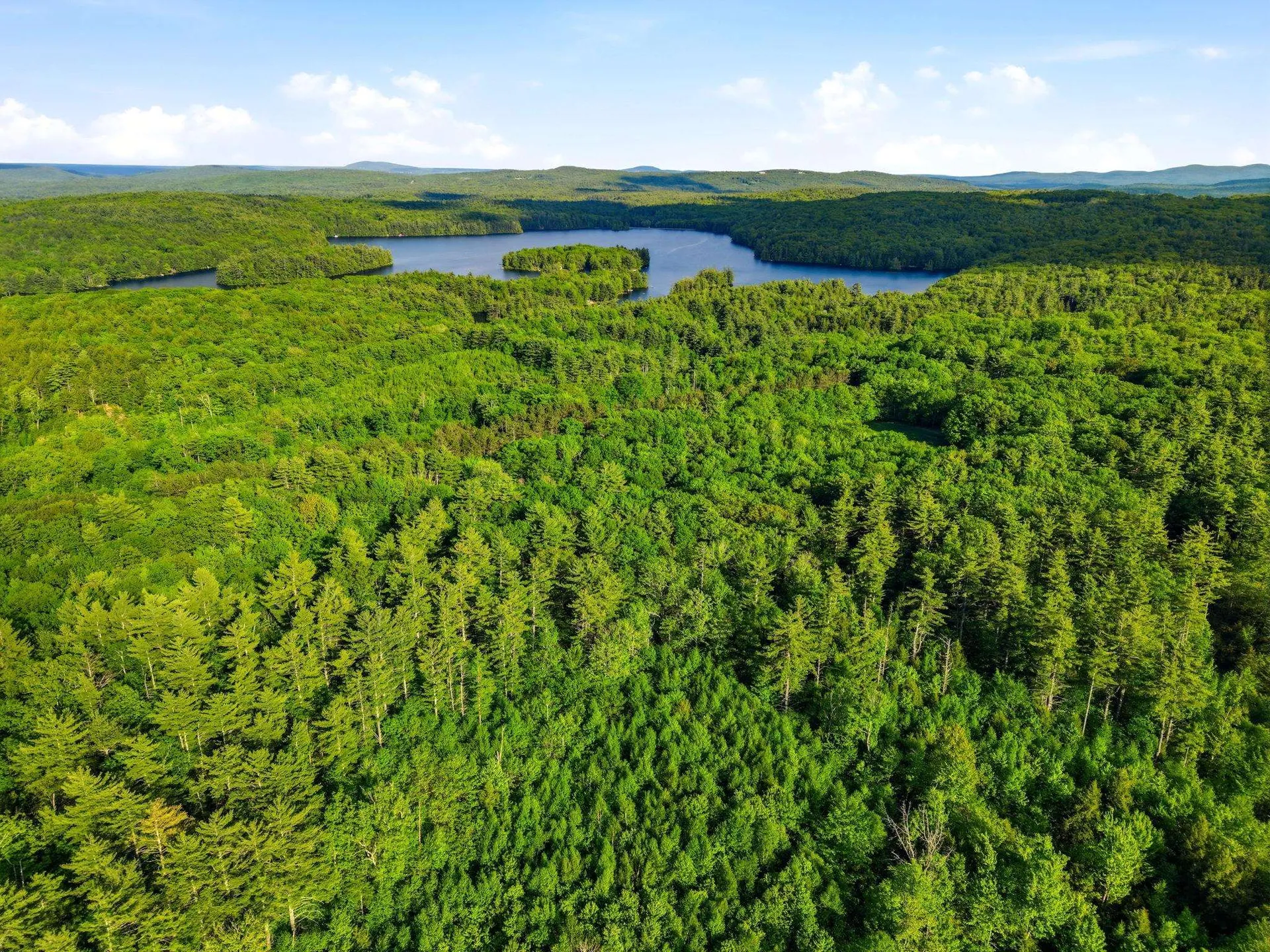 91 Wolf Hill Road Deering NH 03242