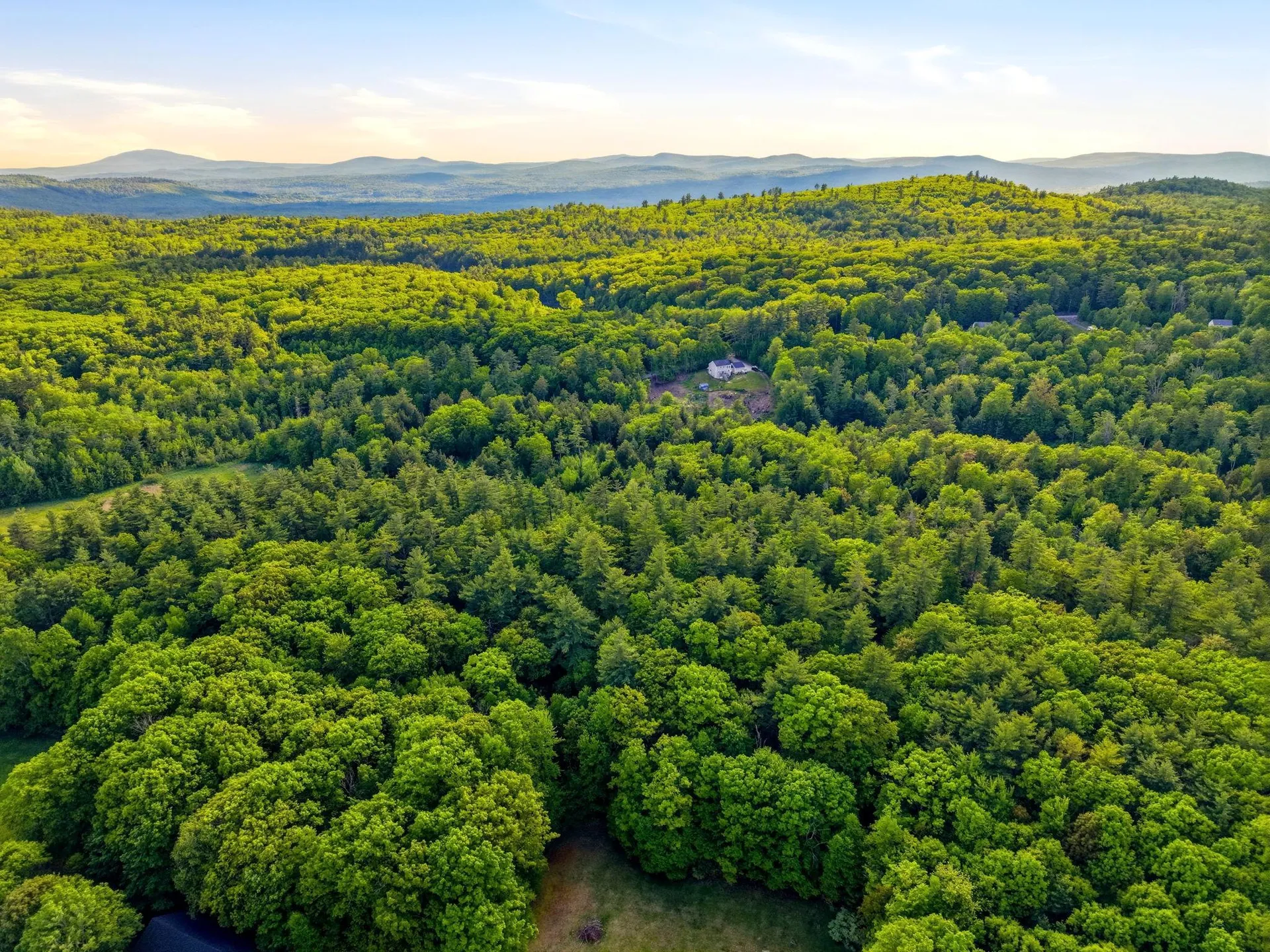 91 Wolf Hill Road Deering NH 03242