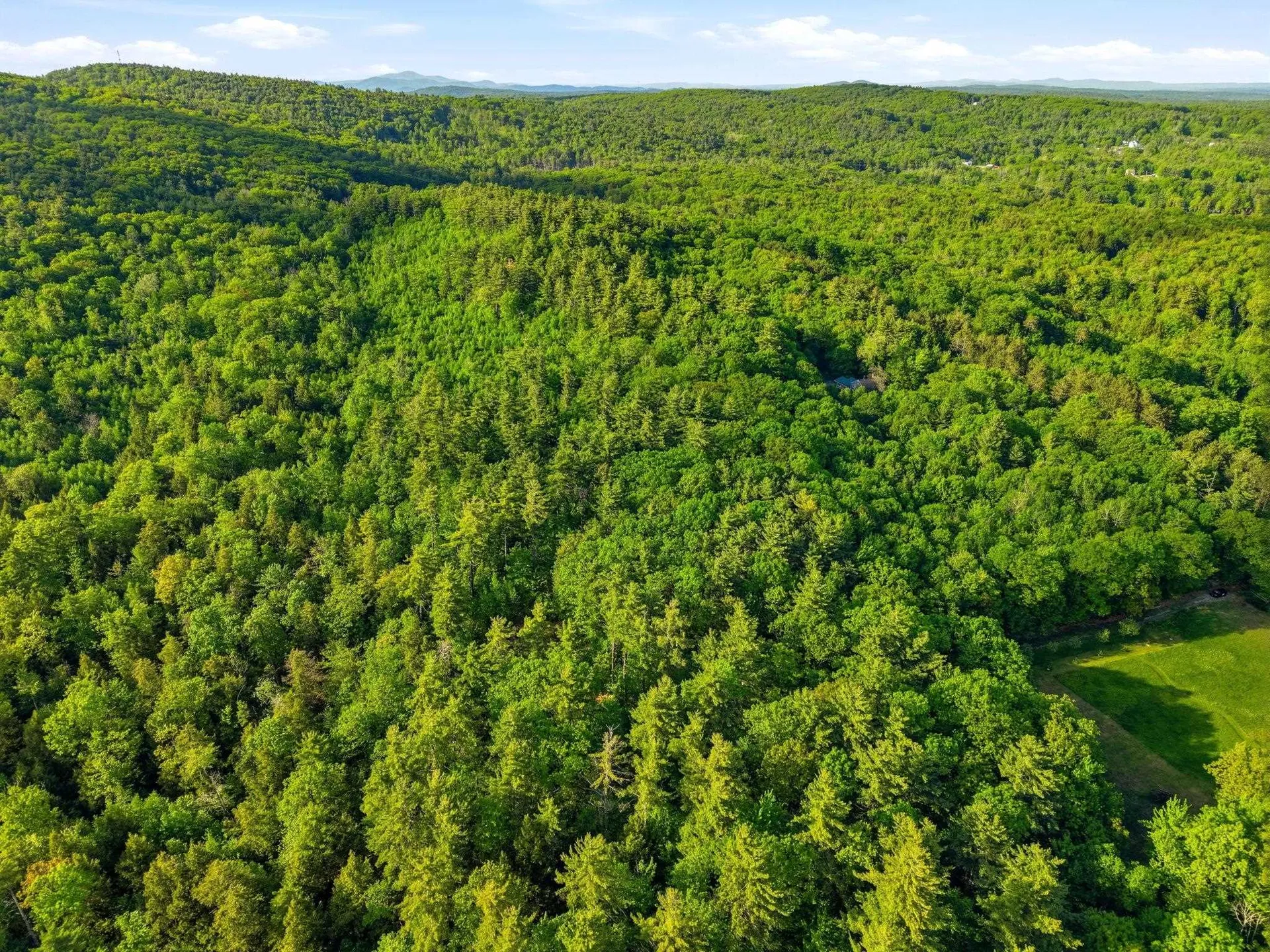 91 Wolf Hill Road Deering NH 03242