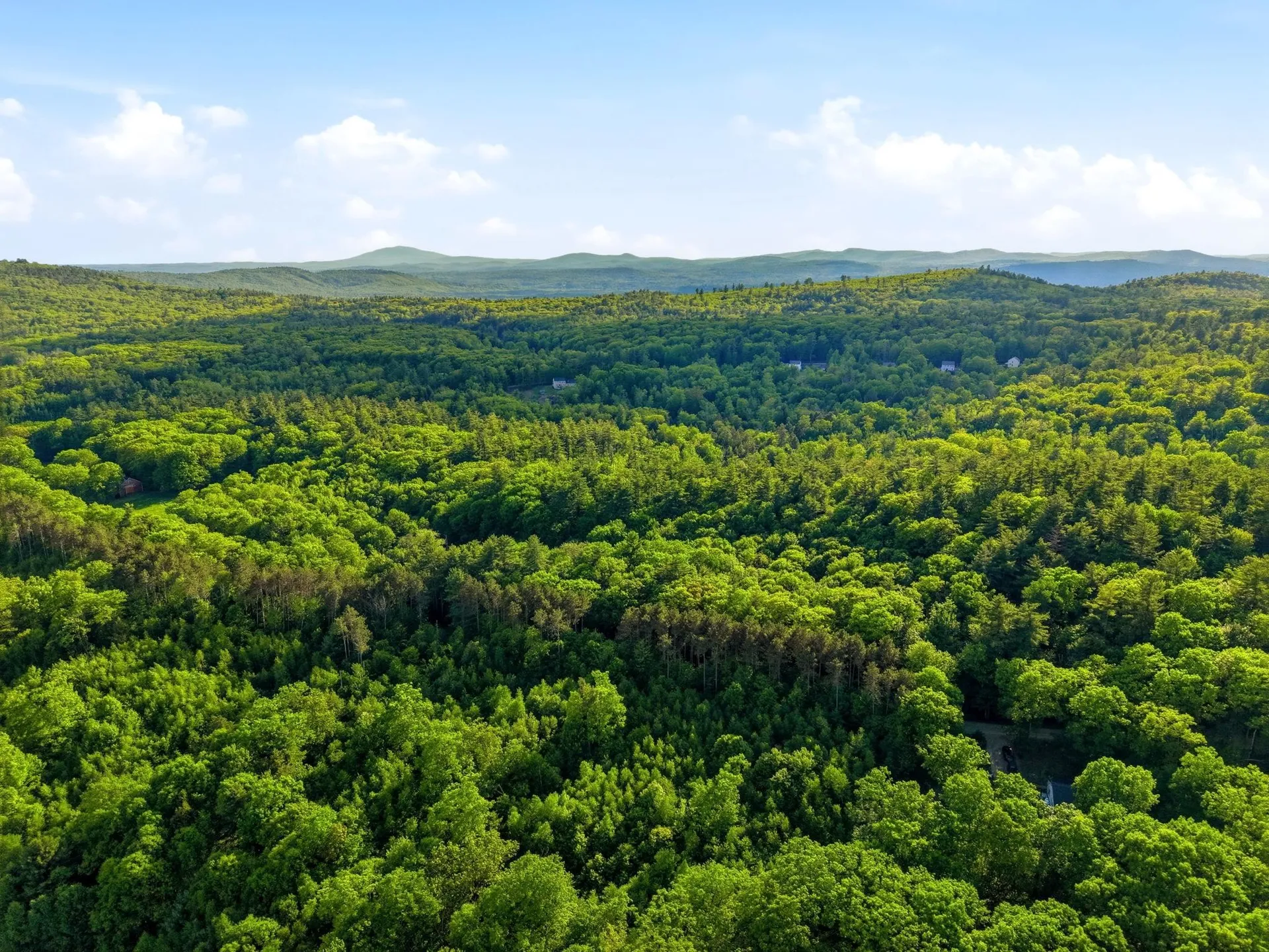 91 Wolf Hill Road Deering NH 03242