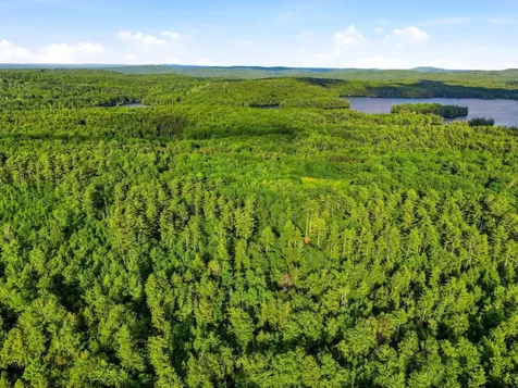 91 Wolf Hill Road Deering NH 03242