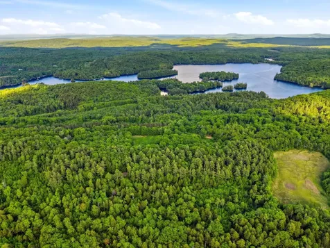 91 Wolf Hill Road Deering NH 03242