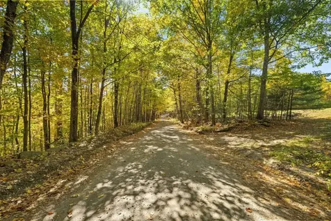 91 Wolf Hill Road Deering NH 03242