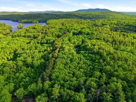91 Wolf Hill Road Deering NH 03242