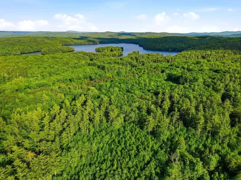 91 Wolf Hill Road Deering NH 03242