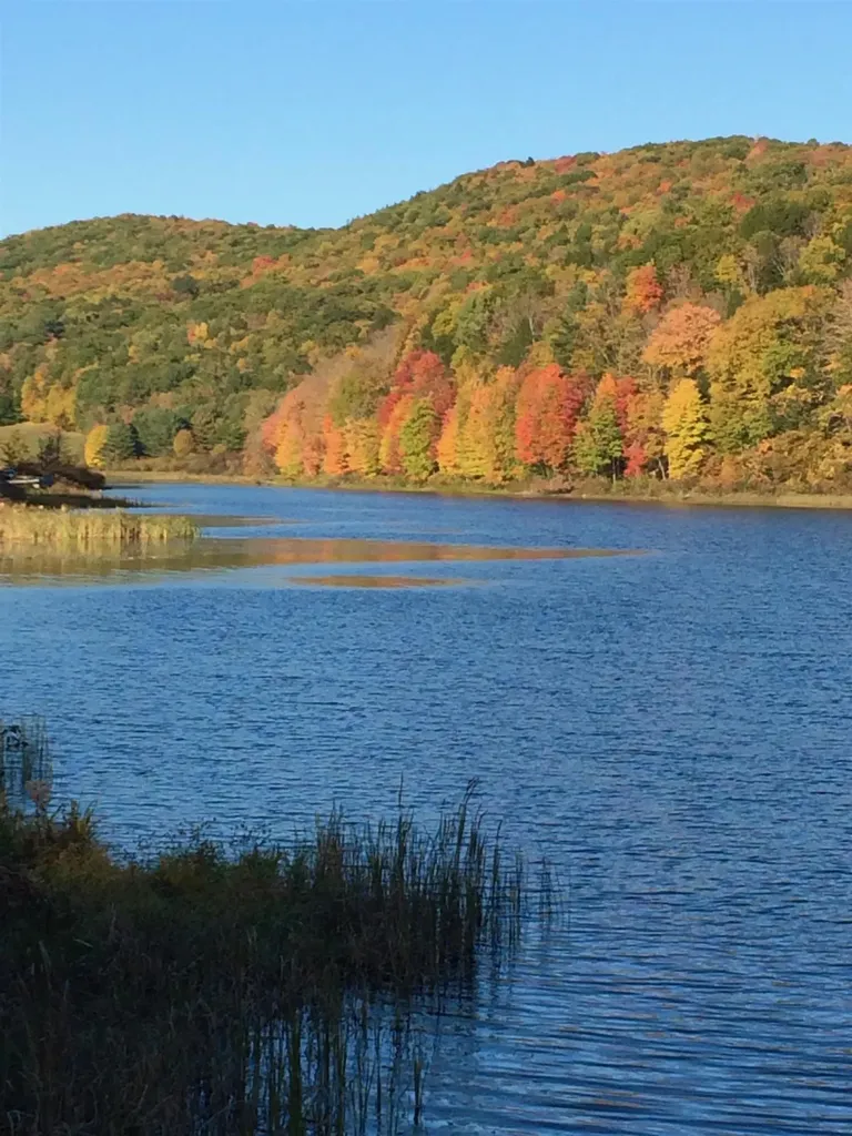 3924 Sweet Pond Road Guilford VT 05301