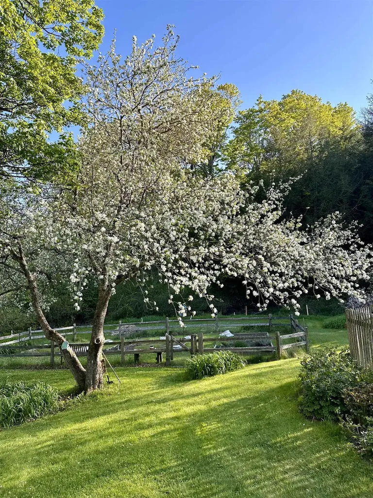 3924 Sweet Pond Road Guilford VT 05301