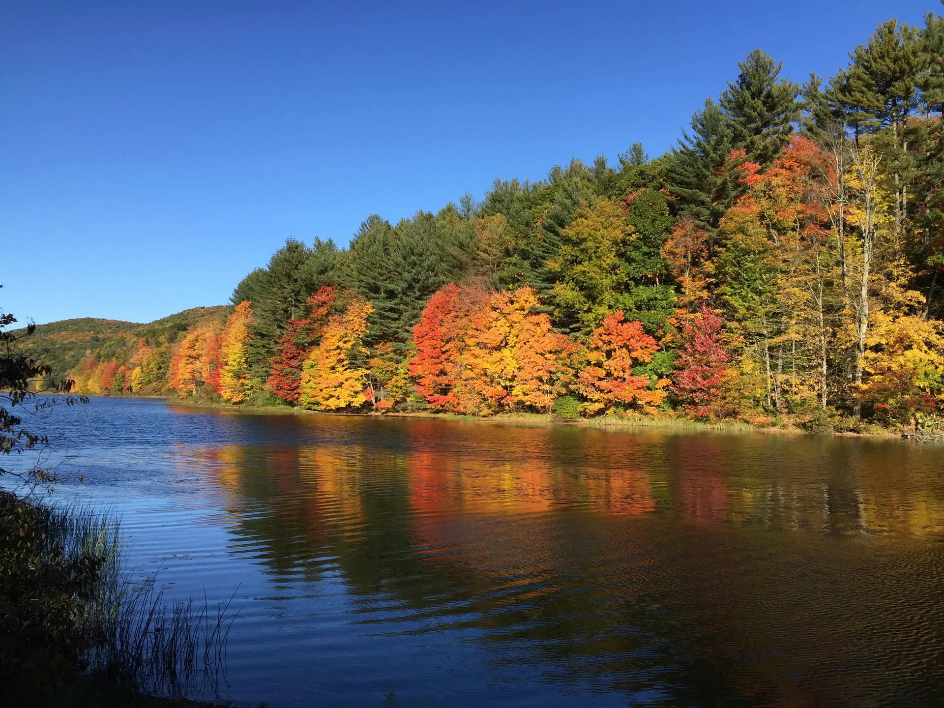 3924 Sweet Pond Road Guilford VT 05301