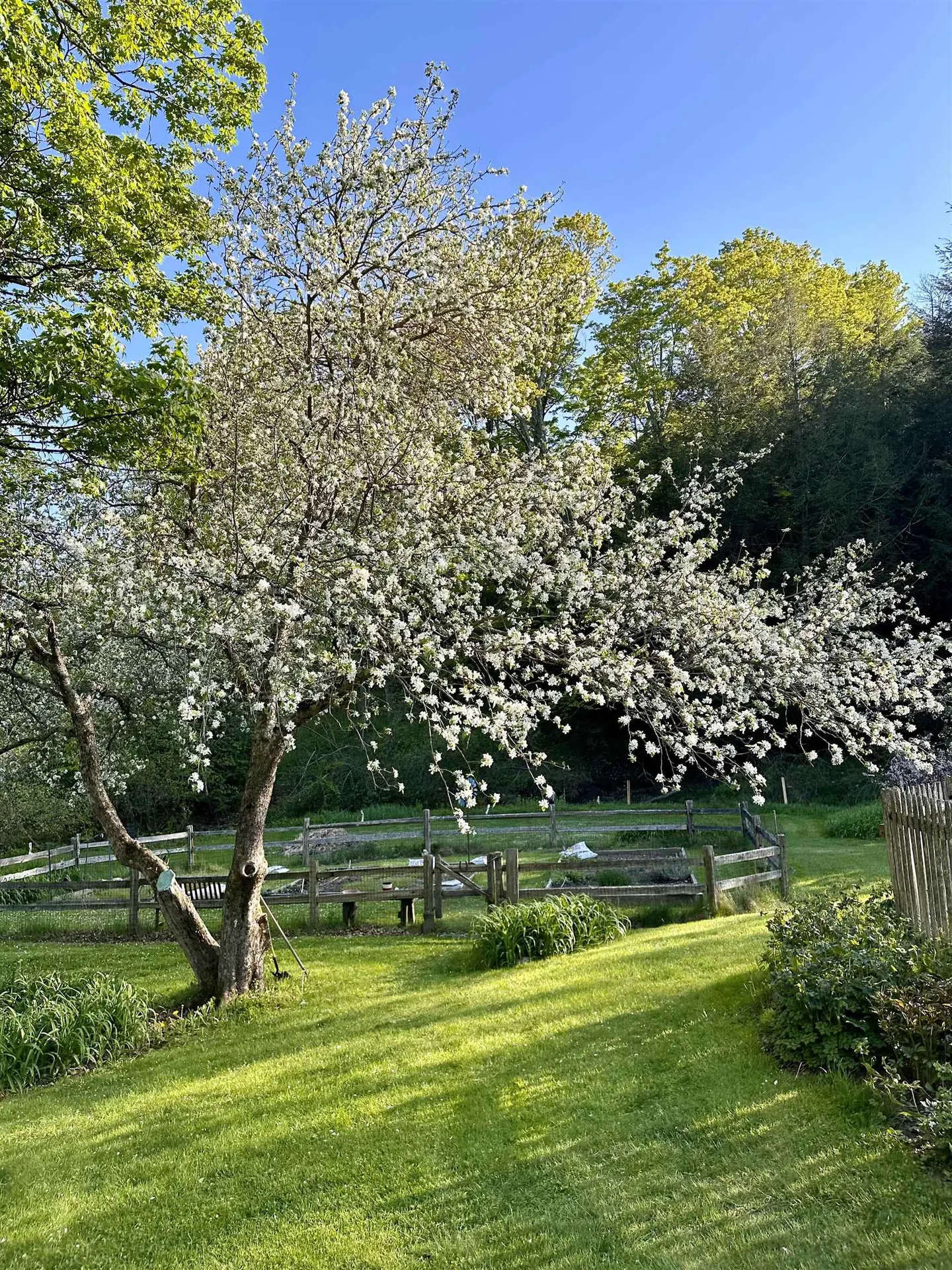 3924 Sweet Pond Road Guilford VT 05301