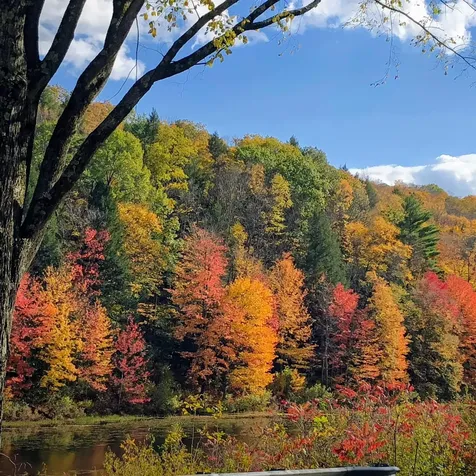 3924 Sweet Pond Road Guilford VT 05301