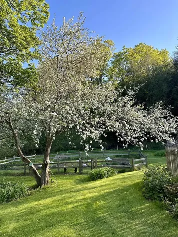 3924 Sweet Pond Road Guilford VT 05301