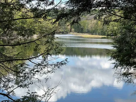 3924 Sweet Pond Road Guilford VT 05301