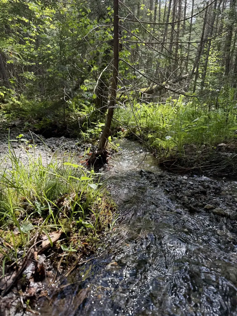 00 Fuller Road Newbury VT 05051