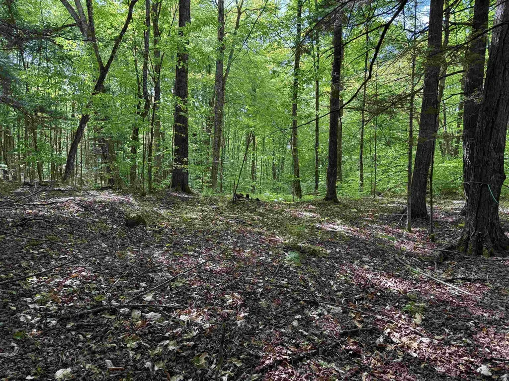 00 Fuller Road Newbury VT 05051