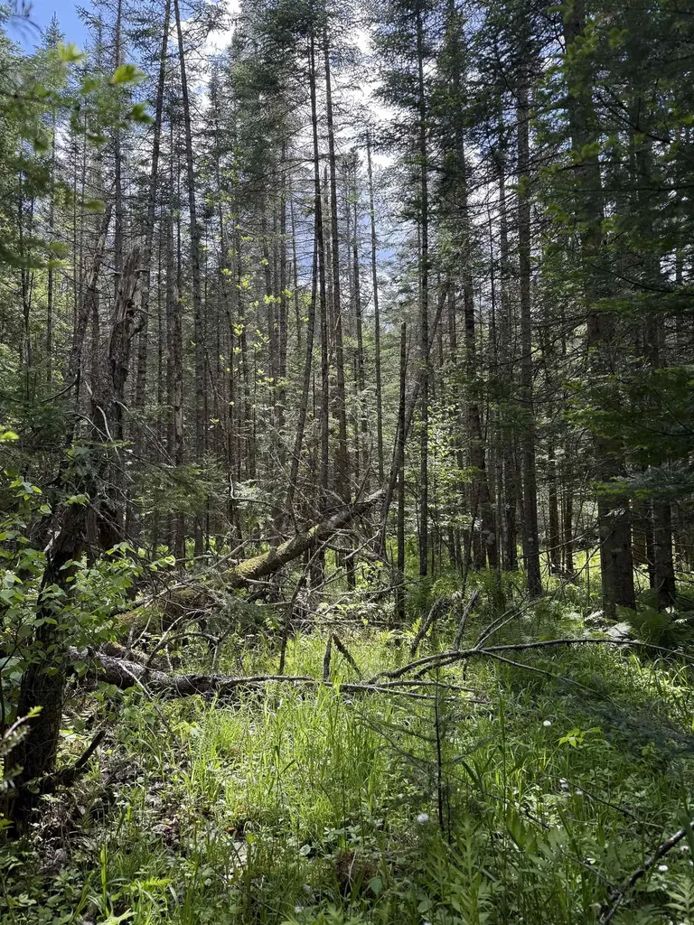 00 Fuller Road Newbury VT 05051