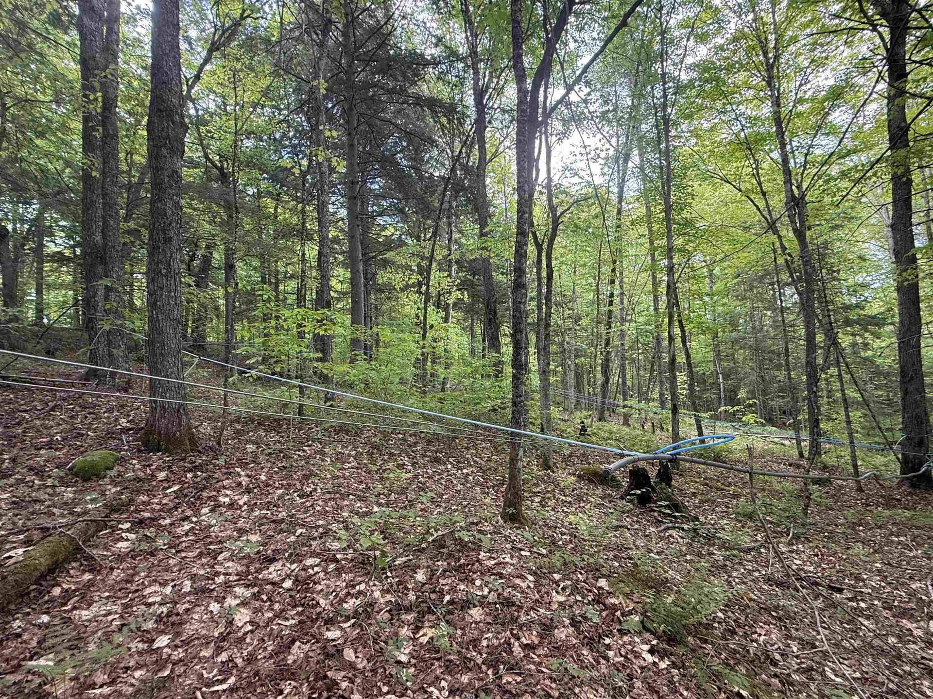 00 Fuller Road Newbury VT 05051