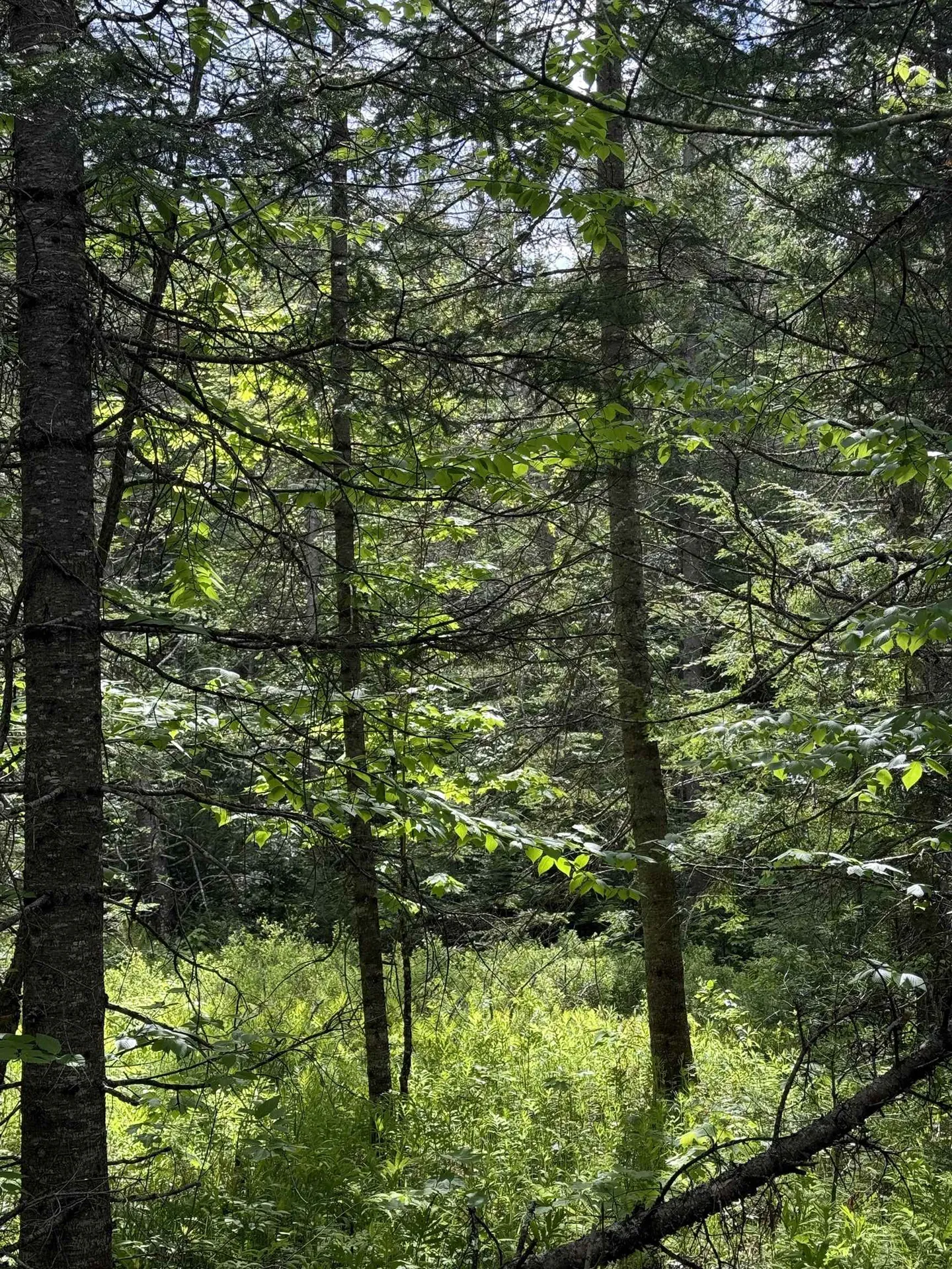 00 Fuller Road Newbury VT 05051