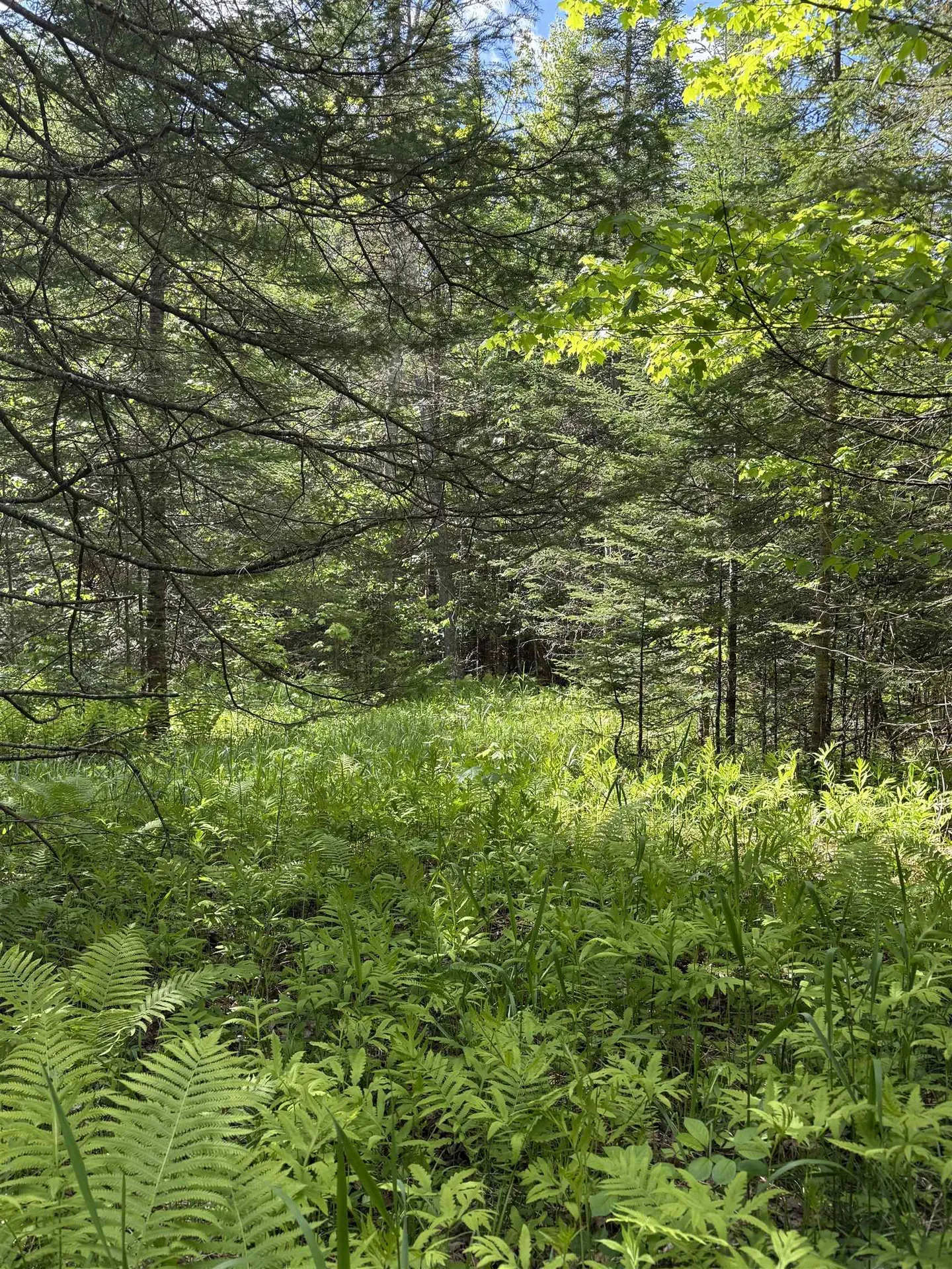 00 Fuller Road Newbury VT 05051