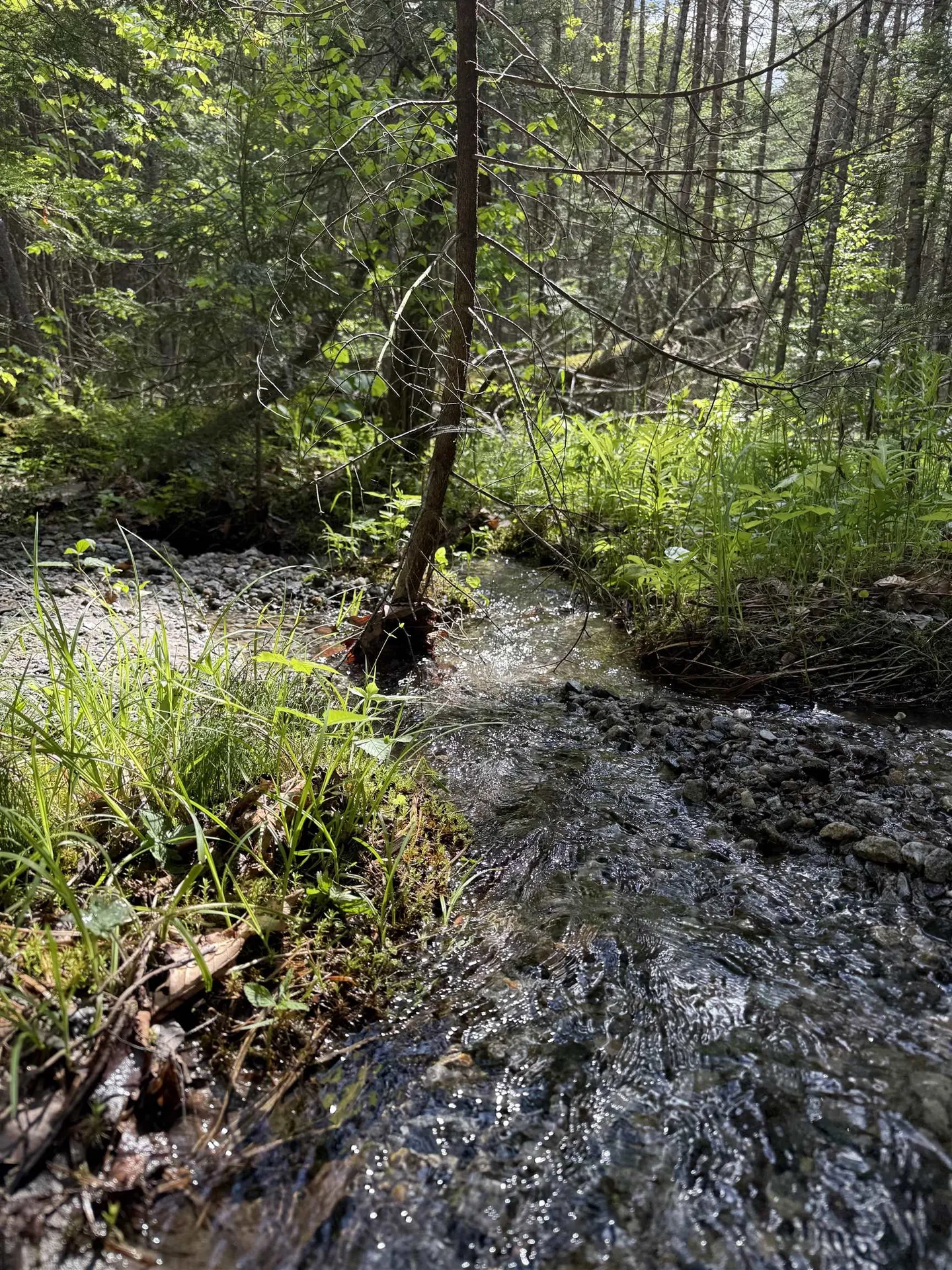 00 Fuller Road Newbury VT 05051