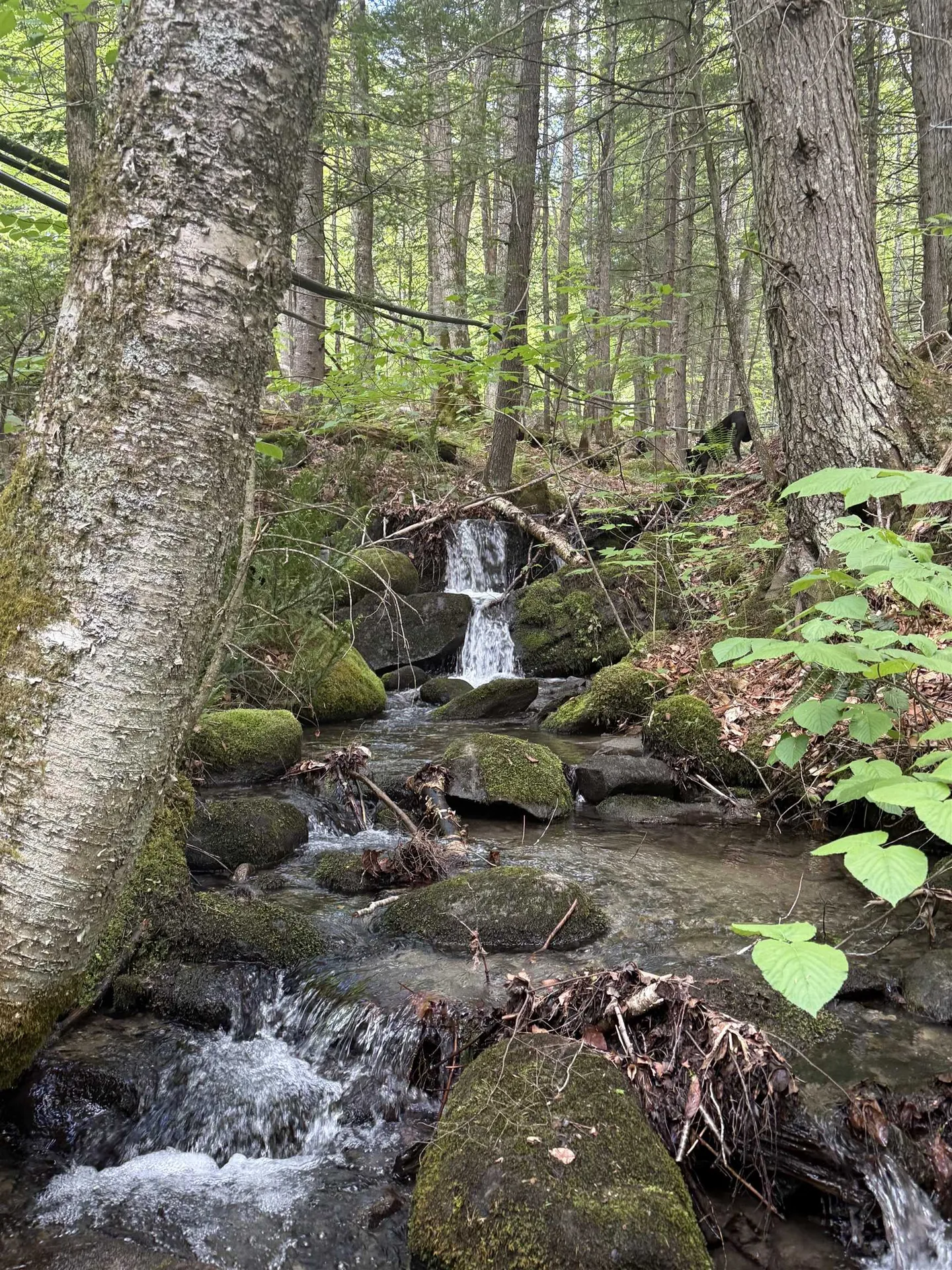 00 Fuller Road Newbury VT 05051