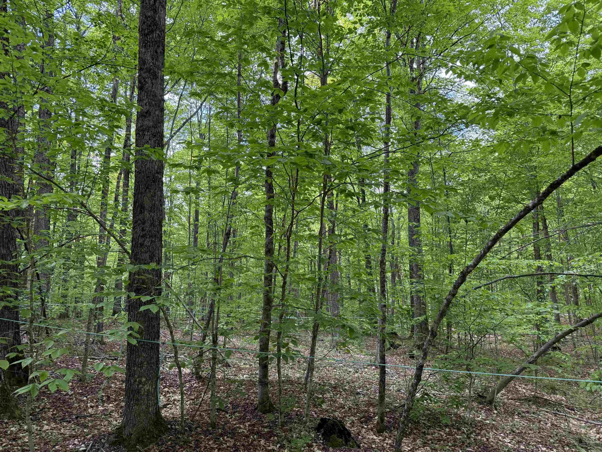00 Fuller Road Newbury VT 05051
