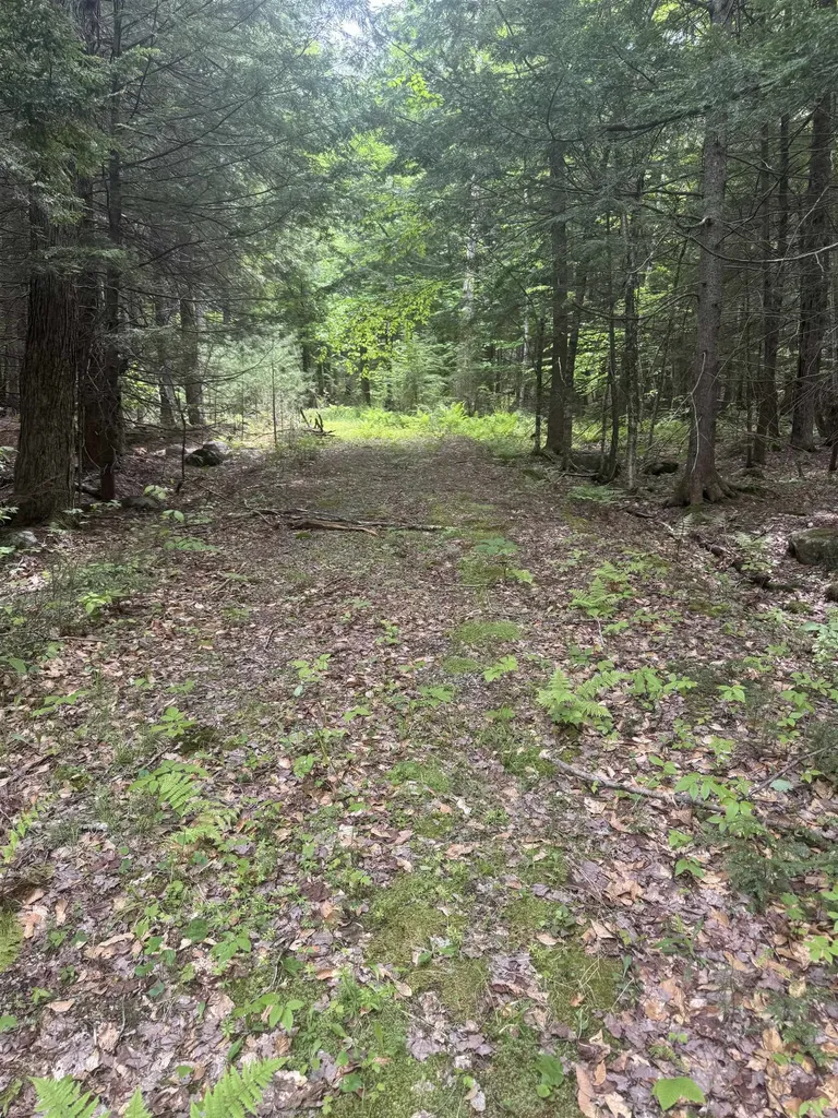 Lot 13 Beach Pond Road Wolfeboro NH 03894