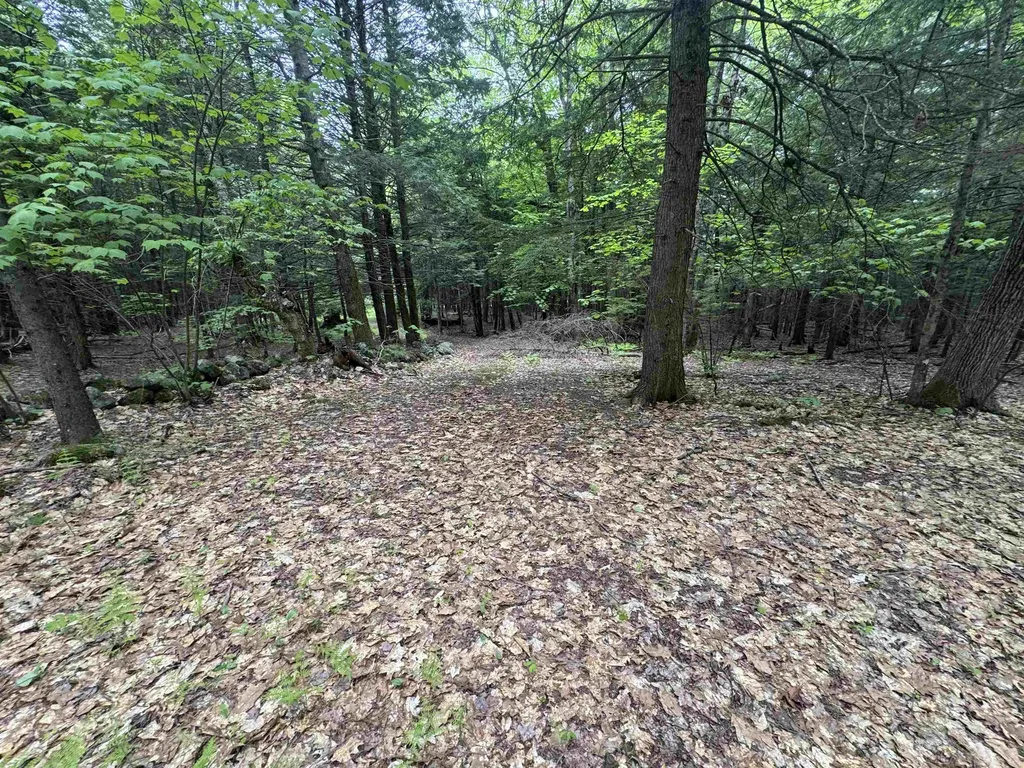 Lot 13 Beach Pond Road Wolfeboro NH 03894