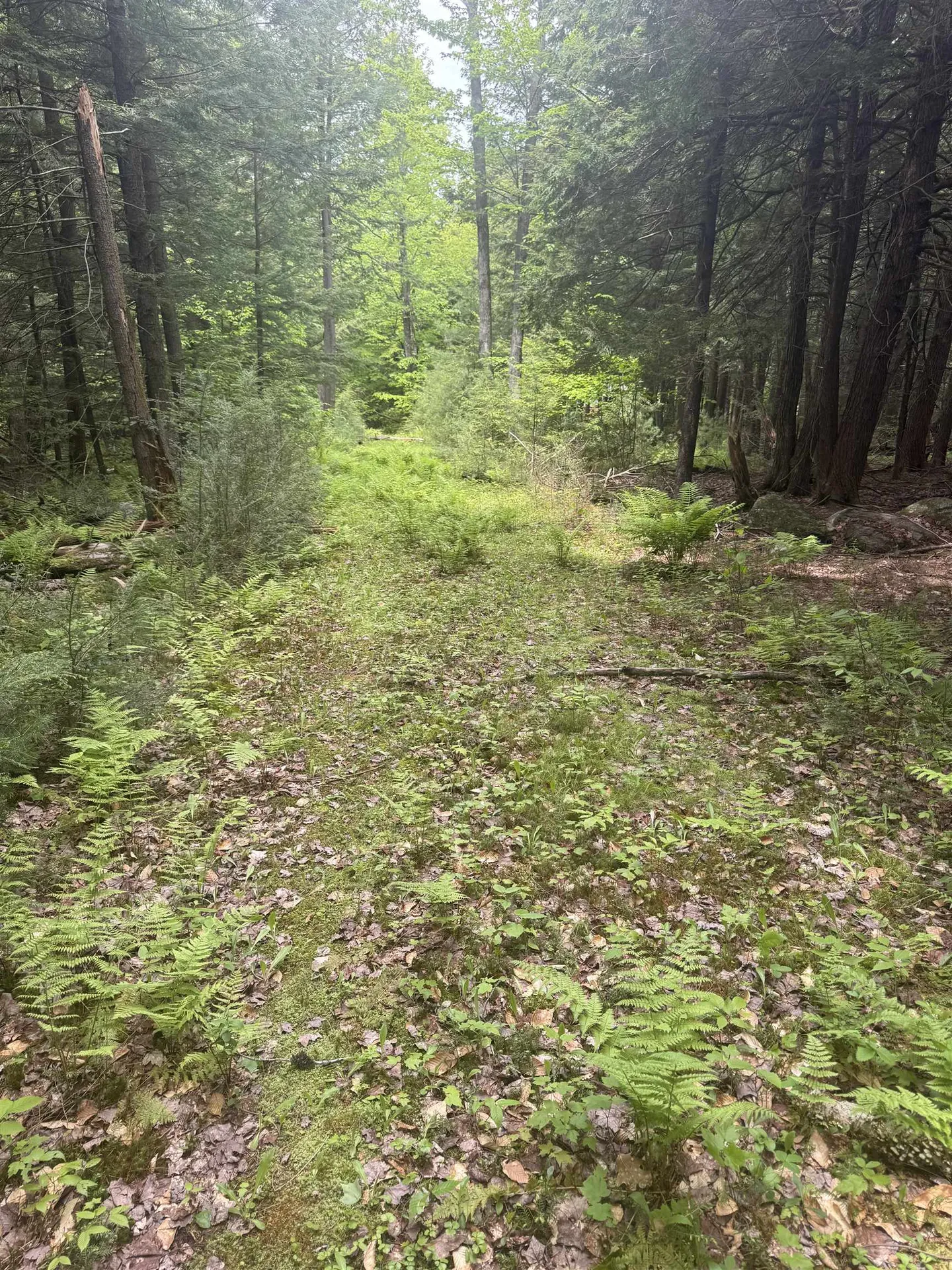 Lot 13 Beach Pond Road Wolfeboro NH 03894