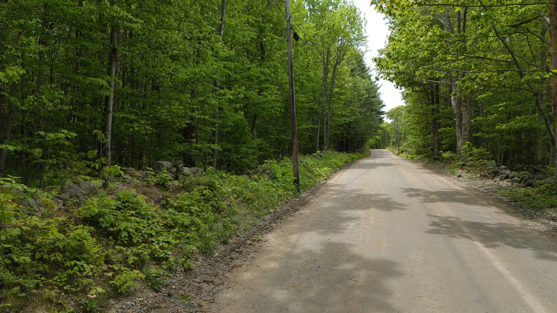 Lot 13 Beach Pond Road Wolfeboro NH 03894